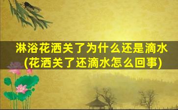 淋浴花洒关了为什么还是滴水(花洒关了还滴水怎么回事)