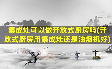 集成灶可以做开放式厨房吗(开放式厨房用集成灶还是油烟机好)