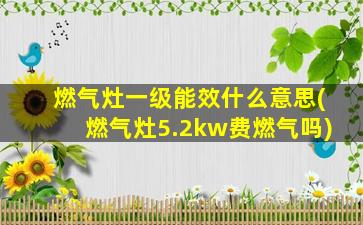 燃气灶一级能效什么意思(燃气灶5.2kw费燃气吗)