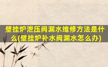 壁挂炉泄压阀漏水维修方法是什么(壁挂炉补水阀漏水怎么办)