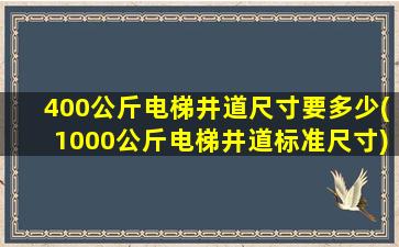 400公斤电梯井道尺寸要多少(1000公斤电梯井道标准尺寸)