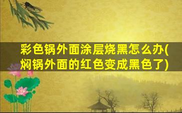 彩色锅外面涂层烧黑怎么办(焖锅外面的红色变成黑色了)