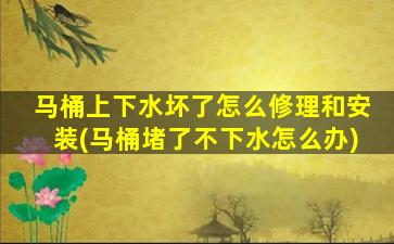 马桶上下水坏了怎么修理和安装(马桶堵了不下水怎么办)