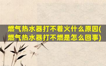 燃气热水器打不着火什么原因(燃气热水器打不燃是怎么回事)