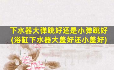 下水器大弹跳好还是小弹跳好(浴缸下水器大盖好还小盖好)