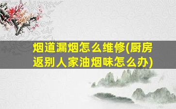 烟道漏烟怎么维修(厨房返别人家油烟味怎么办)
