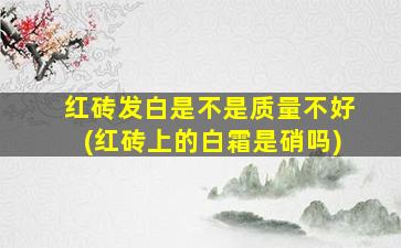红砖发白是不是质量不好(红砖上的白霜是硝吗)
