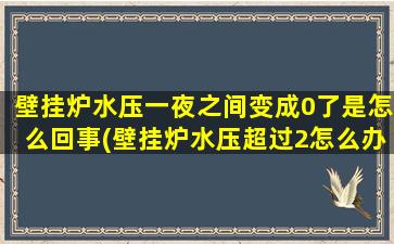 壁挂炉水压一夜之间变成0了是怎么回事(壁挂炉水压超过2怎么办)