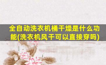 全自动洗衣机桶干燥是什么功能(洗衣机风干可以直接穿吗)