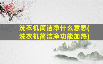 洗衣机简洁净什么意思(洗衣机简洁净功能加热)
