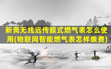新奥无线远传膜式燃气表怎么使用(物联网智能燃气表怎样缴费)