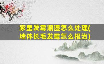 家里发霉潮湿怎么处理(墙体长毛发霉怎么根治)