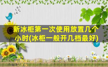 新冰柜第一次使用放置几个小时(冰柜一般开几档最好)