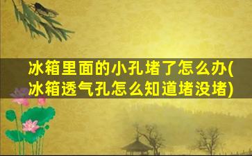 冰箱里面的小孔堵了怎么办(冰箱透气孔怎么知道堵没堵)