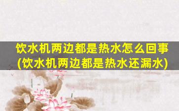 饮水机两边都是热水怎么回事(饮水机两边都是热水还漏水)