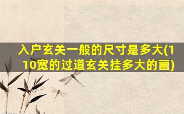 入户玄关一般的尺寸是多大(110宽的过道玄关挂多大的画)