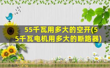 55千瓦用多大的空开(55千瓦电机用多大的断路器)