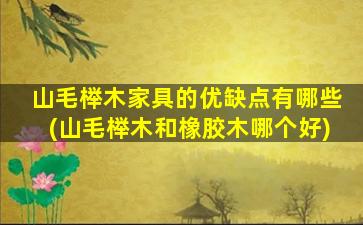 山毛榉木家具的优缺点有哪些(山毛榉木和橡胶木哪个好)