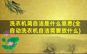 洗衣机简自洁是什么意思(全自动洗衣机自洁需要放什么)