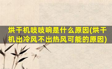 烘干机吱吱响是什么原因(烘干机出冷风不出热风可能的原因)