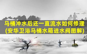 马桶冲水后还一直流水如何修理(安华卫浴马桶水箱进水阀图解)