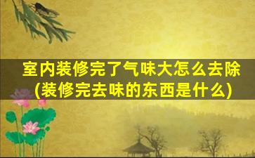 室内装修完了气味大怎么去除(装修完去味的东西是什么)