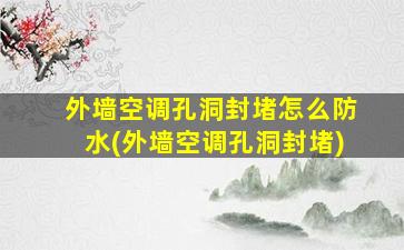 外墙空调孔洞封堵怎么防水(外墙空调孔洞封堵)