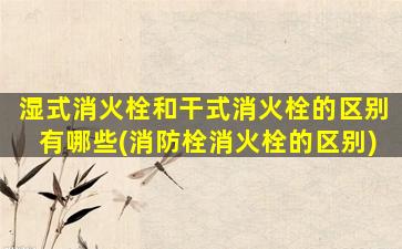湿式消火栓和干式消火栓的区别有哪些(消防栓消火栓的区别)