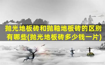 抛光地板砖和抛釉地板砖的区别有哪些(抛光地板砖多少钱一片)