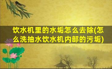 饮水机里的水垢怎么去除(怎么洗抽水饮水机内部的污垢)
