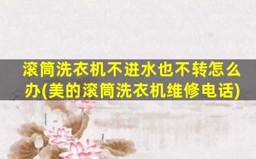 滚筒洗衣机不进水也不转怎么办(美的滚筒洗衣机维修电话)