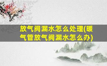 放气阀漏水怎么处理(暖气管放气阀漏水怎么办)