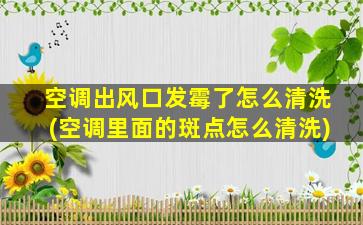 空调出风口发霉了怎么清洗(空调里面的斑点怎么清洗)