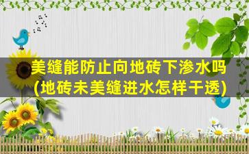 美缝能防止向地砖下渗水吗(地砖未美缝进水怎样干透)