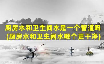 厨房水和卫生间水是一个管道吗(厨房水和卫生间水哪个更干净)
