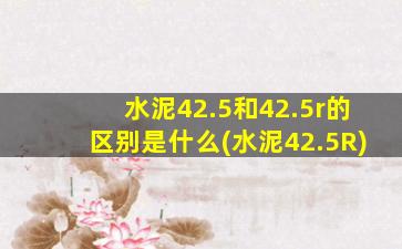 水泥42.5和42.5r的区别是什么(水泥42.5R)