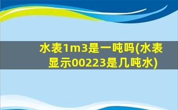 水表1m3是一吨吗(水表显示00223是几吨水)