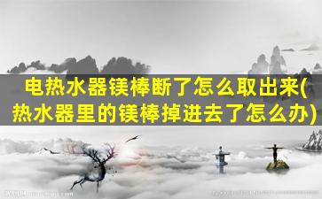 电热水器镁棒断了怎么取出来(热水器里的镁棒掉进去了怎么办)