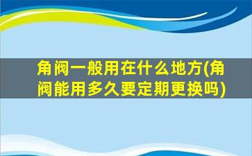 角阀一般用在什么地方(角阀能用多久要定期更换吗)