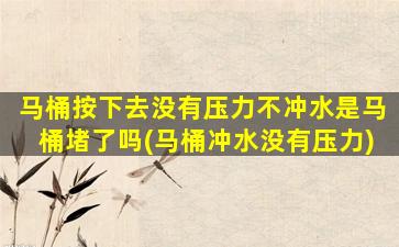 马桶按下去没有压力不冲水是马桶堵了吗(马桶冲水没有压力)