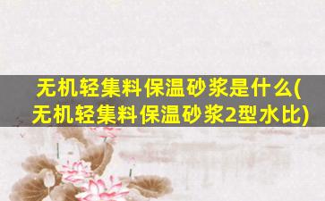 无机轻集料保温砂浆是什么(无机轻集料保温砂浆2型水比)