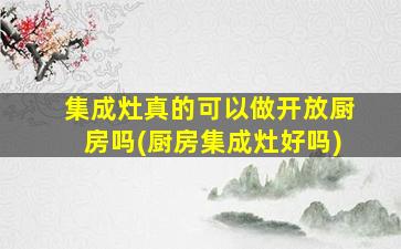 集成灶真的可以做开放厨房吗(厨房集成灶好吗)