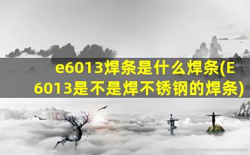 e6013焊条是什么焊条(E6013是不是焊不锈钢的焊条)