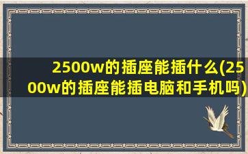 2500w的插座能插什么(2500w的插座能插电脑和手机吗)