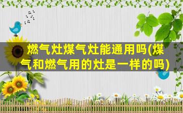 燃气灶煤气灶能通用吗(煤气和燃气用的灶是一样的吗)