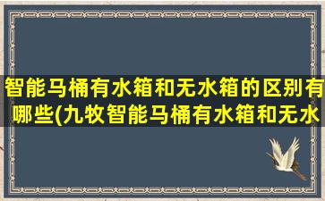 智能马桶有水箱和无水箱的区别有哪些(九牧智能马桶有水箱和无水箱的区别)