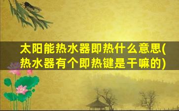 太阳能热水器即热什么意思(热水器有个即热键是干嘛的)