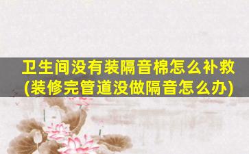 卫生间没有装隔音棉怎么补救(装修完管道没做隔音怎么办)