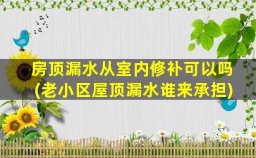 房顶漏水从室内修补可以吗(老小区屋顶漏水谁来承担)