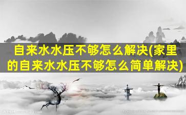 自来水水压不够怎么解决(家里的自来水水压不够怎么简单解决)